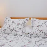 Znjan